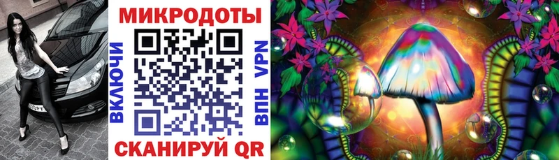 Купить закладки  Юрьев-Польский  Псилоцибиновые грибы прущие грибы 